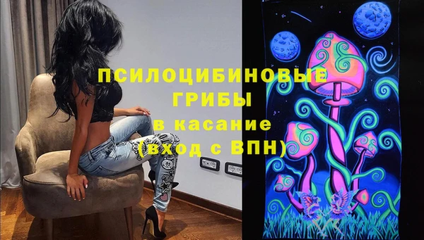 Альфа ПВП Каменногорск