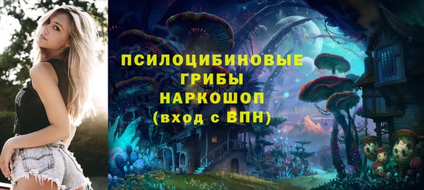 не бодяженный Каменск-Шахтинский