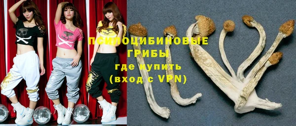 Альфа ПВП Каменногорск