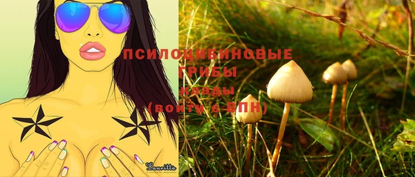 Альфа ПВП Каменногорск