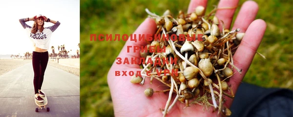 не бодяженный Каменск-Шахтинский