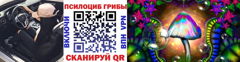 Галлюциногенные грибы Psilocybine cubensis  Купить где  Дудинка 
